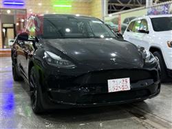 تێسلا مۆدێلی Y